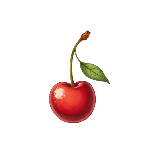 Cherry illustration representing baby's stomach size at Day 1